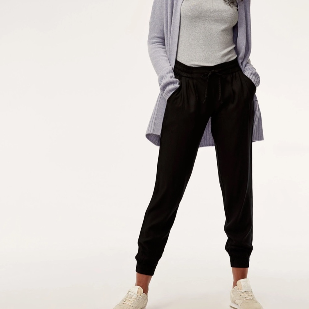 Aritzia Talula Los Feliz Jogger Pant